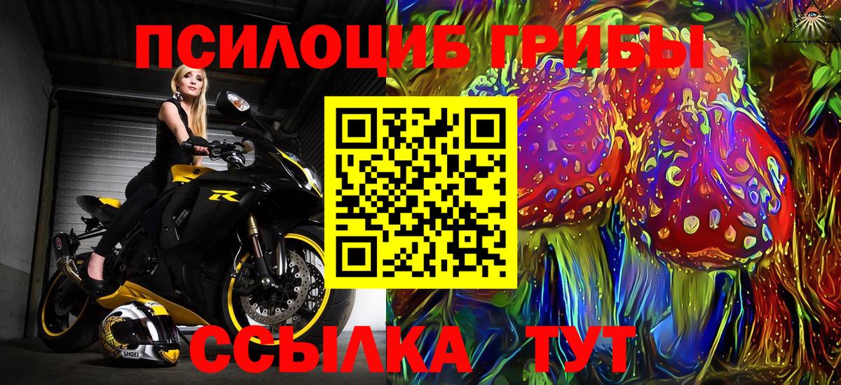 Галлюциногенные грибы Cubensis Белогорск